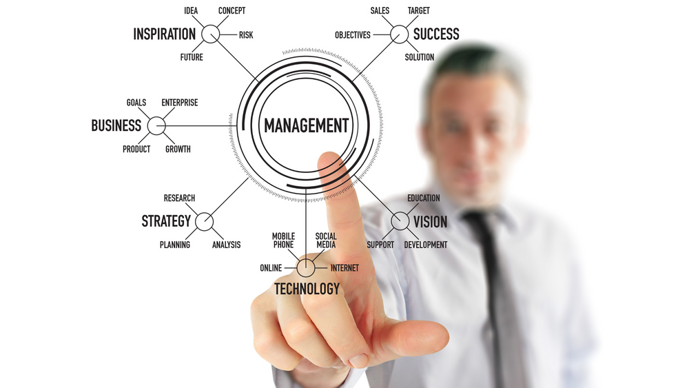 What is thinking in systems and how can it help m organisation? post image