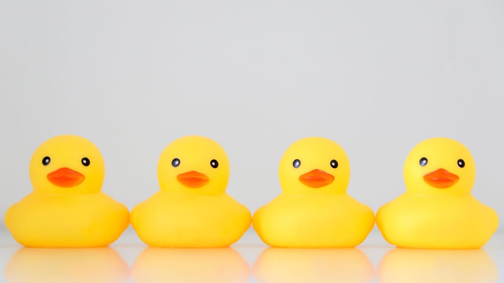 Why Do They Use The Phrase "Getting Your Ducks In A Row In The Workplace?" post image