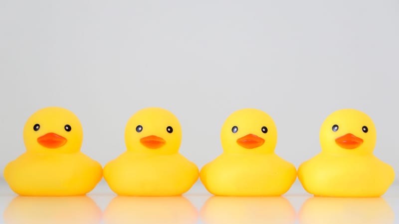 "Why Do They Use The Phrase "Getting Your Ducks In A Row In The Workplace?" post image