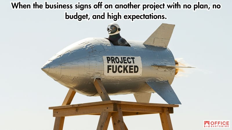 When the Business Greenlights a Disaster Project: post image